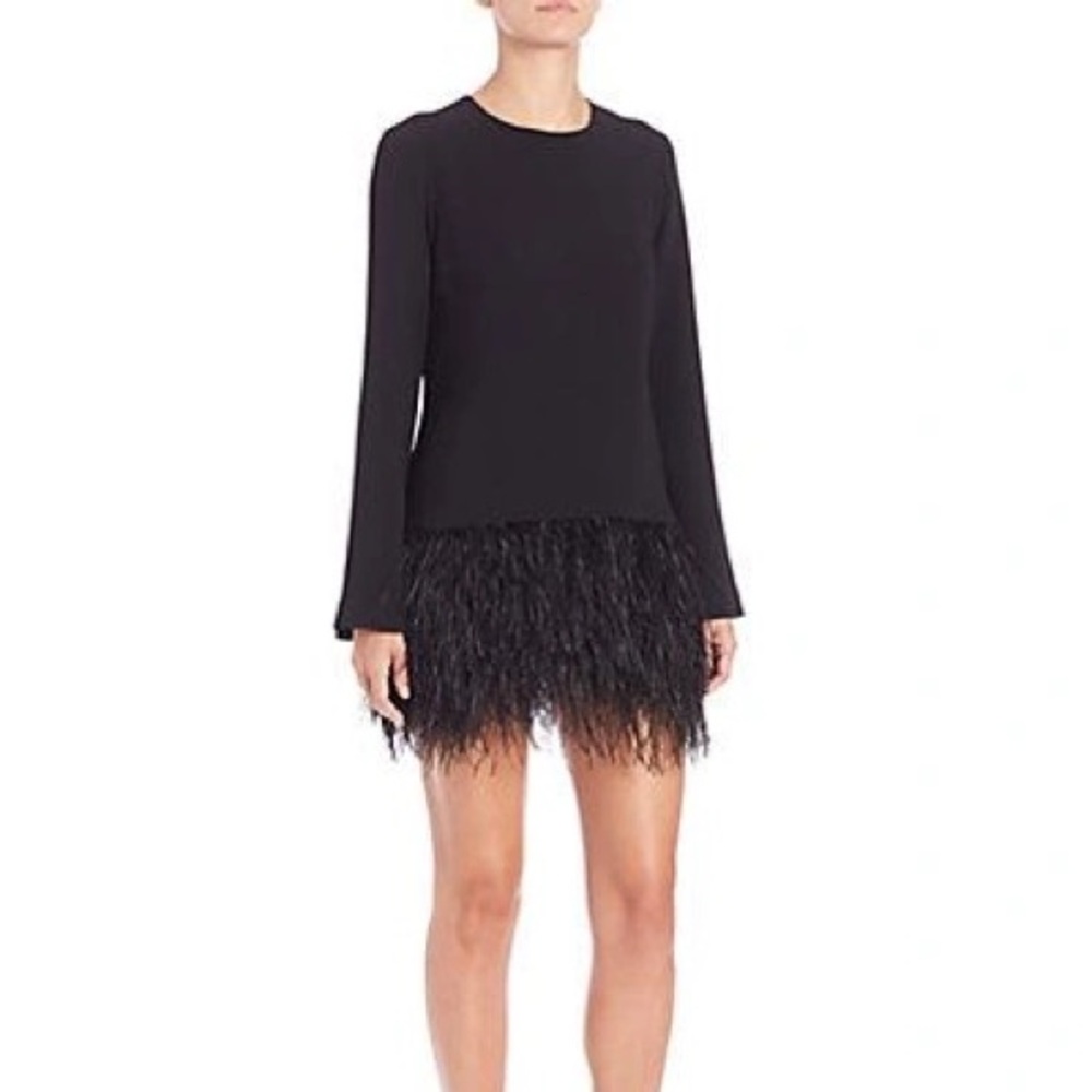 🩷 Elizabeth and James Feather Black Dress